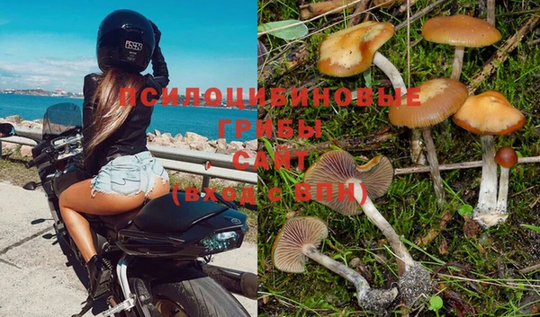 гидропоника Алексеевка