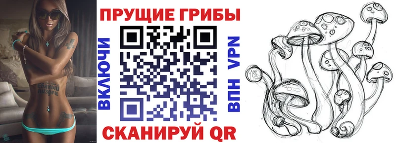 где найти Райчихинск MEGA сайт Галлюциногенные грибы Magic Shrooms